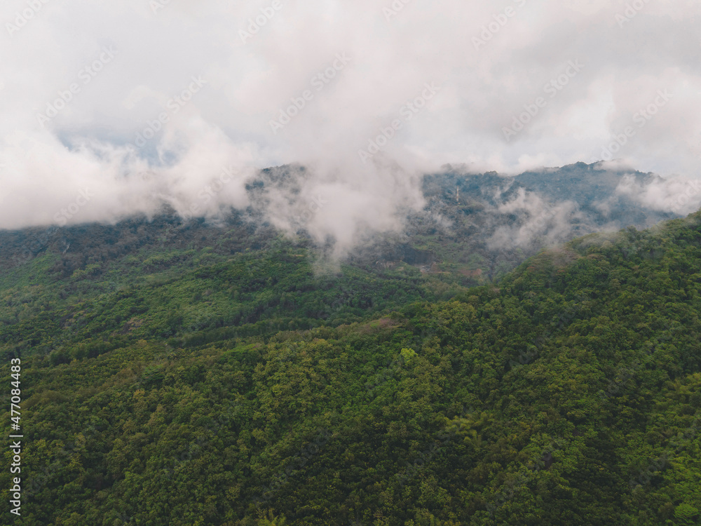 Aerial drone view of mist tropical rainforest in valley, Indonesia.