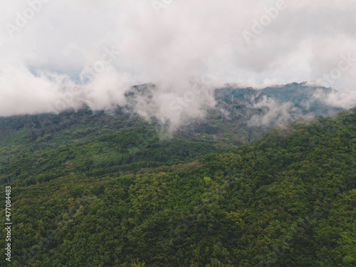 Aerial drone view of mist tropical rainforest in valley, Indonesia.