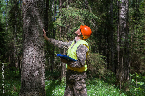 The forest engineer is engaged in the taxation of the forest area.