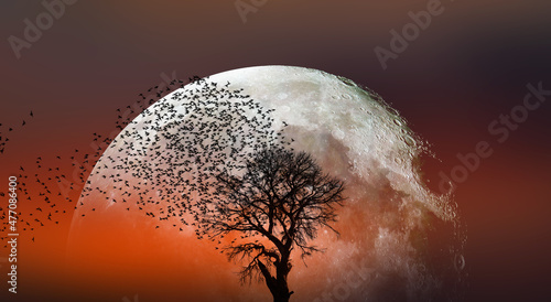 Lone dead tree with silhouette of birds flying, full moon rising in the background "Elements of this image furnished by NASA"