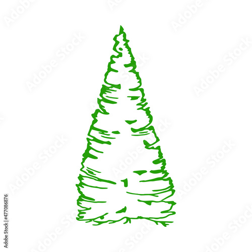 Perennial evergreen tree. Lush side branches. Stylized asymmetric silhouette. Pine, cypress, cedar, fir-tree. Green coniferous tree. For winter greeting card, poster, packaging and seasonal design. photo