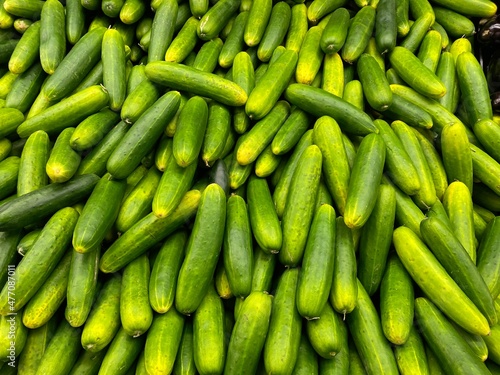 Fototapeta Naklejka Na Ścianę i Meble -  fresh cucumbers background