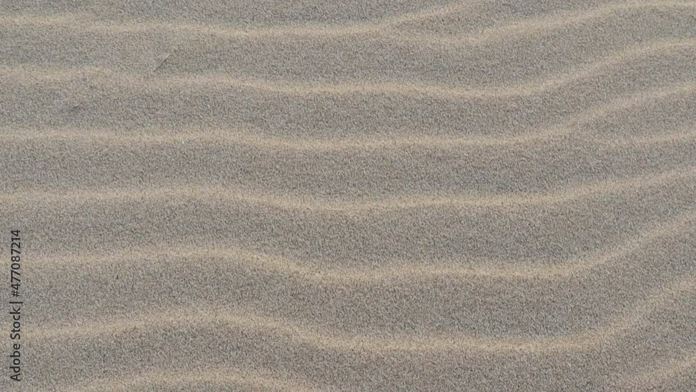 Naturally formed sand dune Naturally formed sand dune