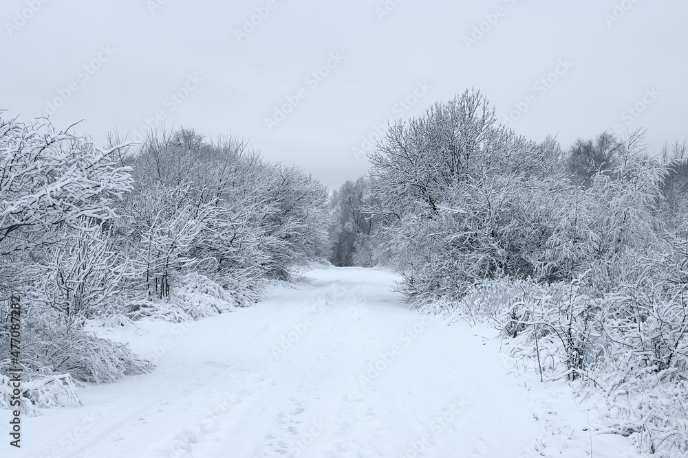Obraz premium European winter landscape outside the city.