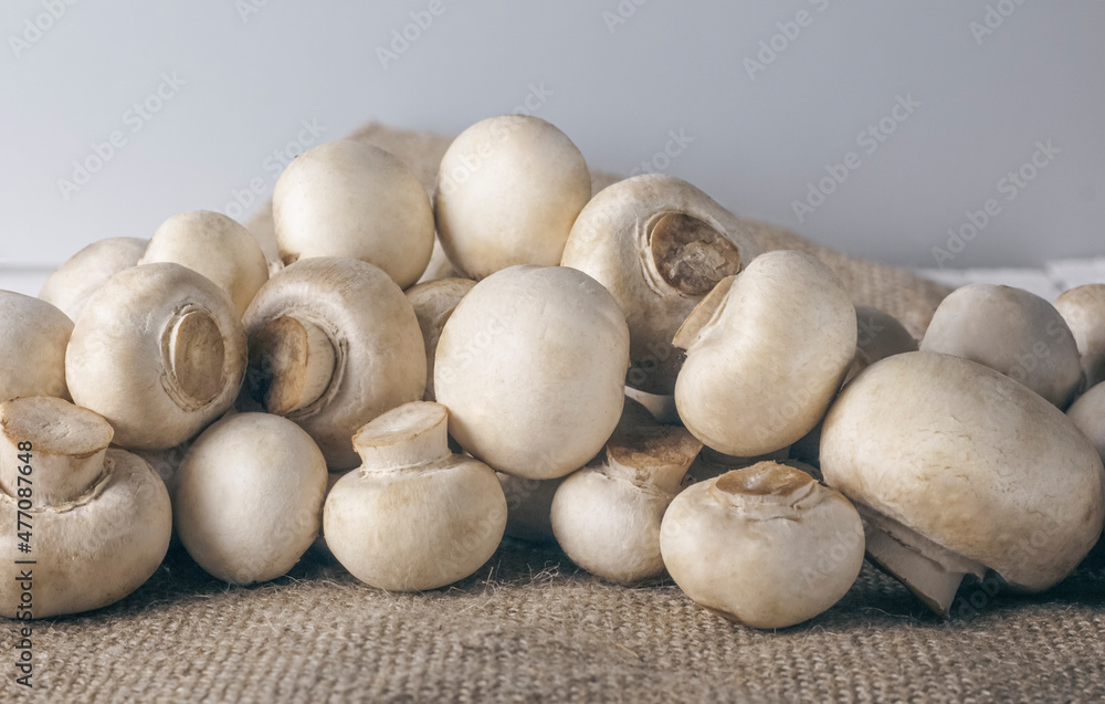 edible mushrooms champignons on the background of burlap