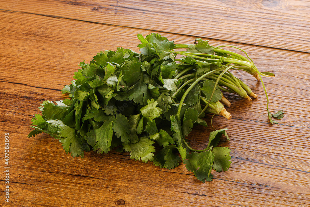 Fresh green Coriander leaves heap Fresh green Coriander leaves heap