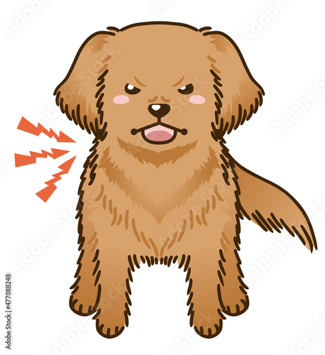 威嚇するゴールデンレトリバー