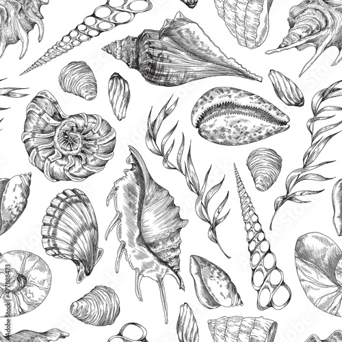Underwater marine seamless pattern with shells and seaweed, monochrome sketch vector illustration.