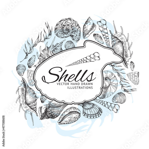 Card or poster with shells and frame for text, engraving vector illustration.