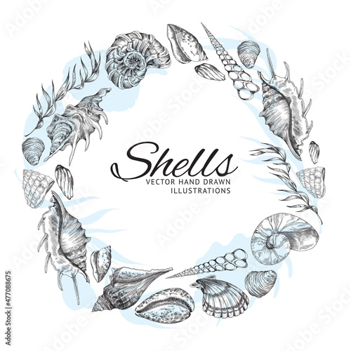 Vintage sea shells banner layout with circle frame, etched vector illustration.