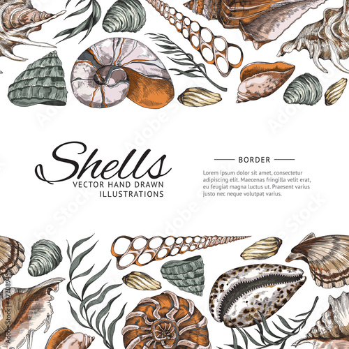 Seamless bottom and top border with seashells, vector illustration isolated.