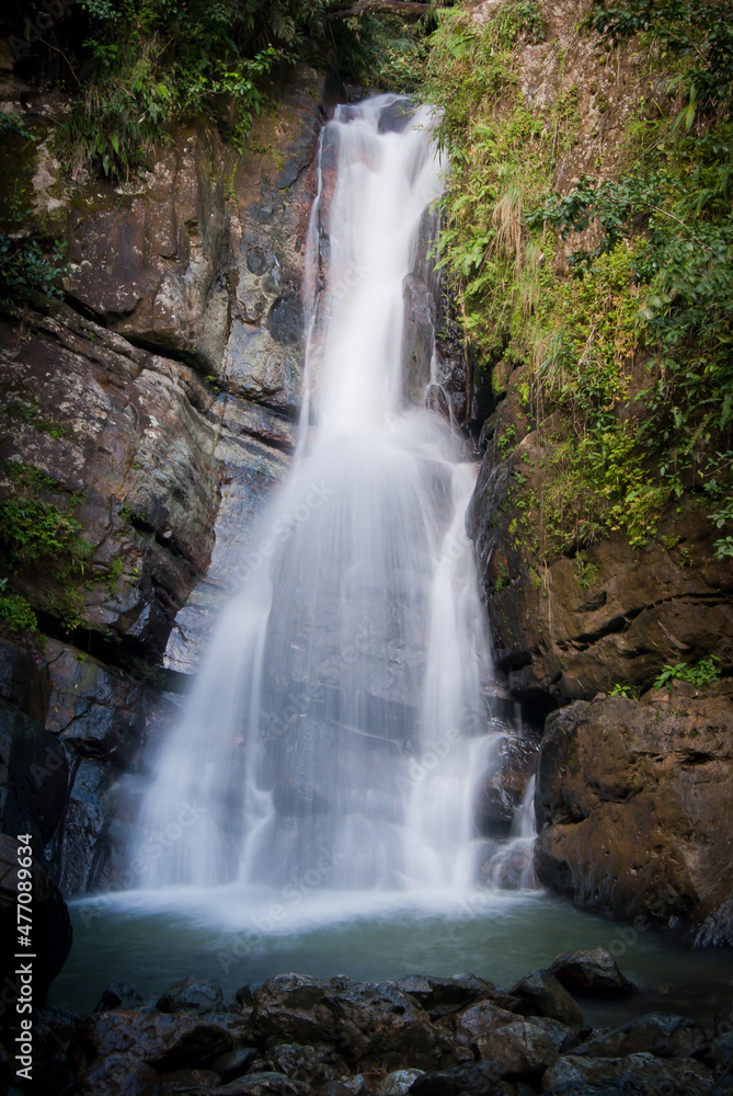 waterfall in a tropical forest