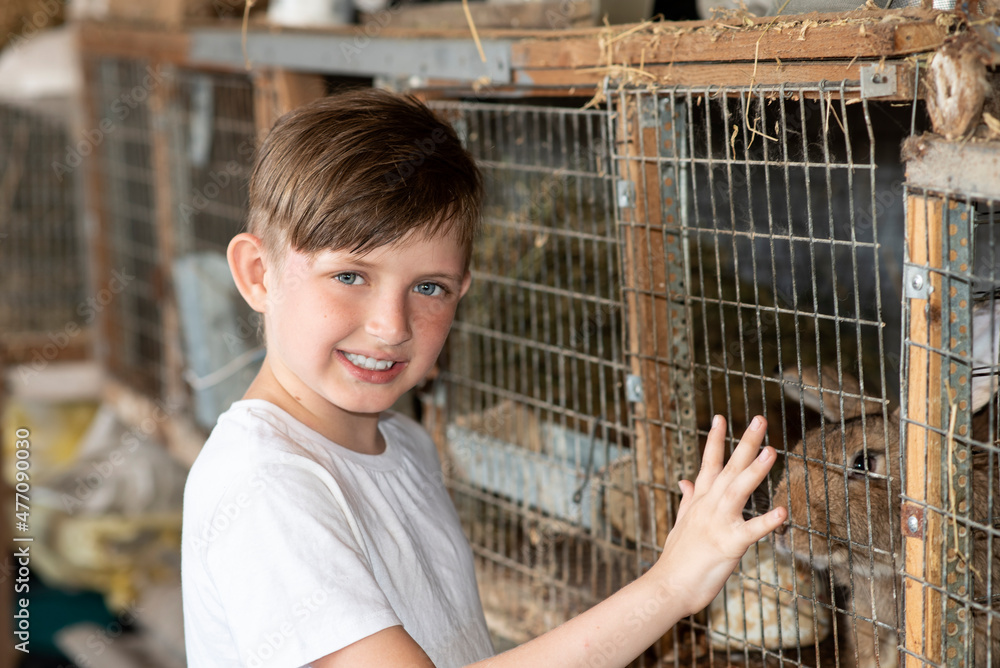 Fototapeta premium portrait of a boy touching a cage with a rabbit with his hand on a farm