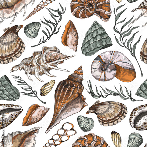 Seamless pattern design with hand drawn shells, engraving vector illustration.