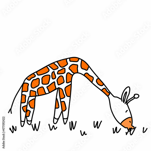 giraffe eats grass  isolated in doodle style. Vector illustration