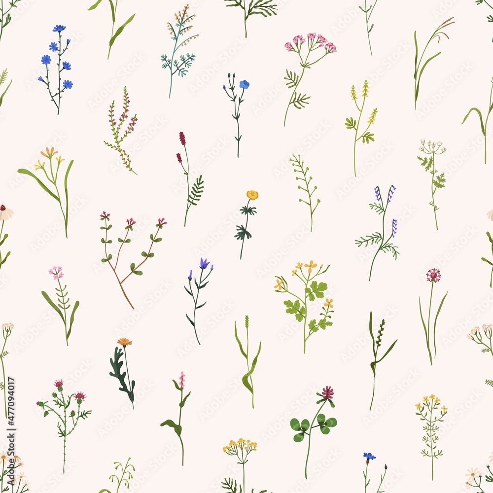 Wild flowers pattern. Seamless floral background. Repeating botanical print with spring blooms, plants and herbs for wallpaper and wrapping. Delicate flora texture. Colored flat vector illustration