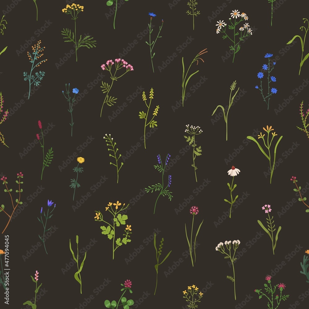 Seamless floral pattern. Wild flowers on black background. Botanical design with wildflowers and herbs print. Herbal flora texture. Endless backdrop with blooms. Colored flat vector illustration - obrazy, fototapety, plakaty 