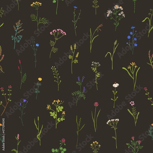 Seamless floral pattern. Wild flowers on black background. Botanical design with wildflowers and herbs print. Herbal flora texture. Endless backdrop with blooms. Colored flat vector illustration