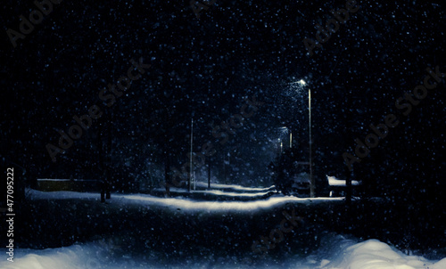 snowstorm in village