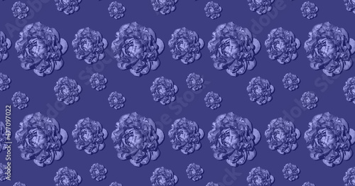 Peony flower in fashionable blue color.