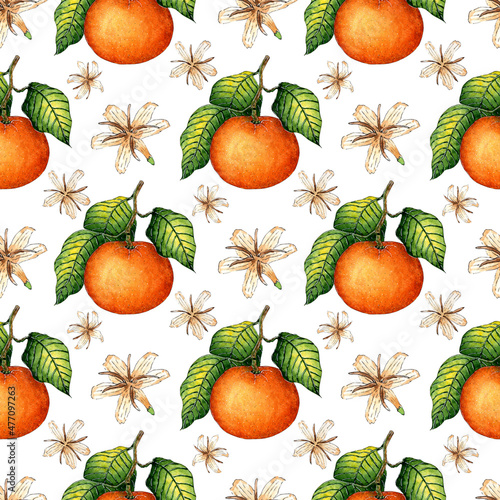 Watercolor painting pattern of ripe tangerines with green leaves and flowers. Seamless repeating juicy citrus print. Winter seasonal fruits. Vitamin food isolated on white background.