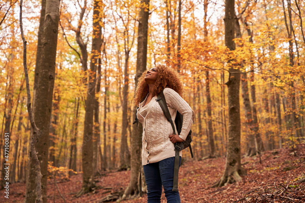 Woman with backpack standing in autumn forest Woman with backpack standing in autumn forest
