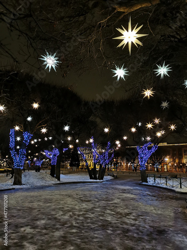 Trees in St. Isaac's Square, decorated with stars and blue garlands for Christmas and New Year.