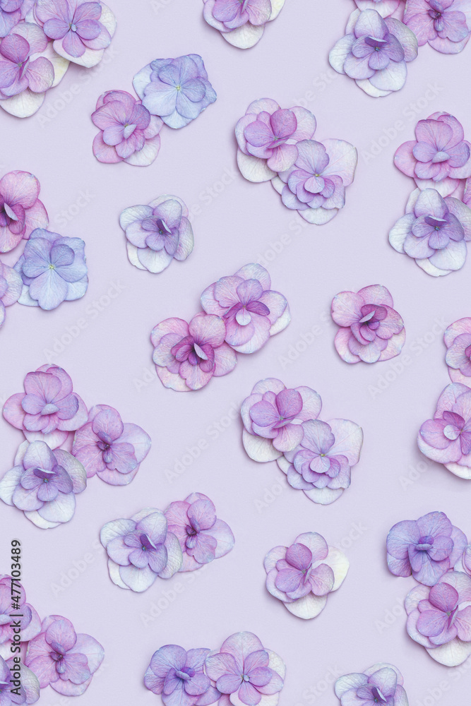 Naklejka premium Natural Hydrangea flower, minimal floral pattern violet monochrome colored. Layout with fresh flowers, background. Spring holiday concept, for Mothers day, 8 March, Womens day. Flat lay