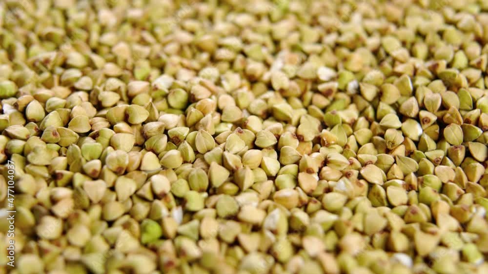 Green whole grain buckwheat seeds. Dietary fiber. Uncooked dry kernels. Macro. Rotation Green whole grain buckwheat seeds. Dietary fiber. Uncooked dry kernels. Macro. Rotation
