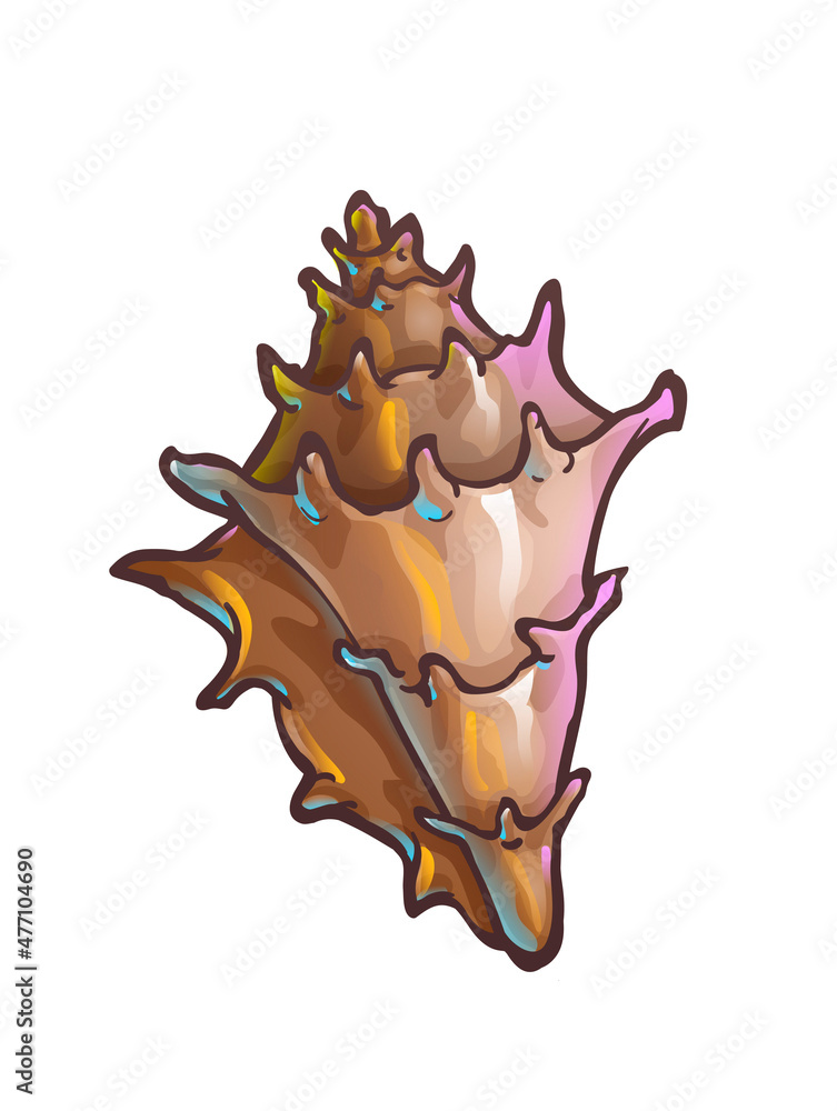 Decorated spiral shape seashell, conus with edges Decorated spiral shape seashell, conus with edges