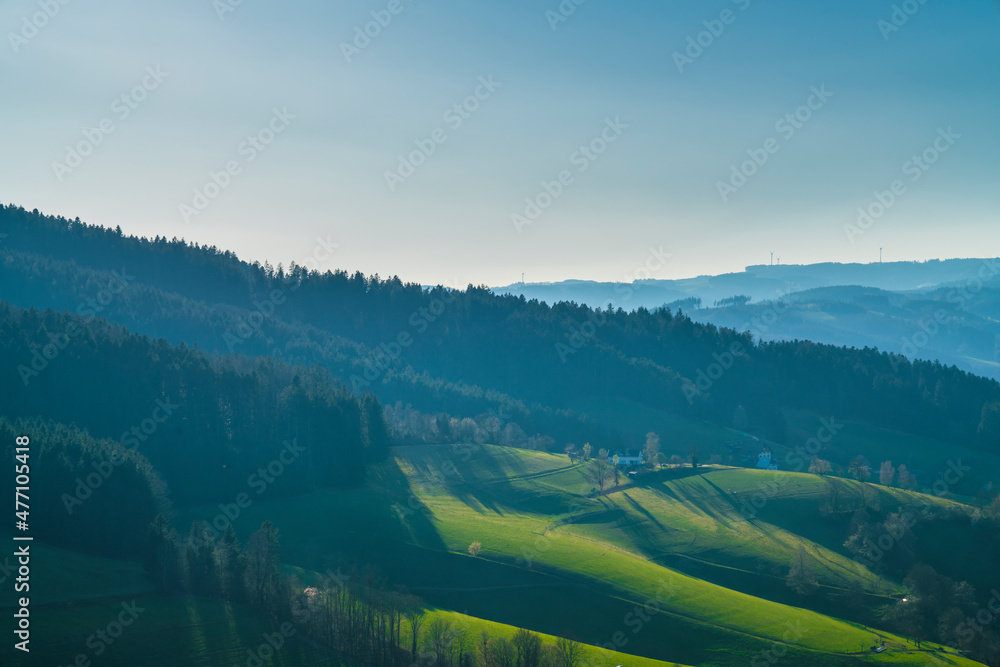 Germany, Aerial black forest panorama view above green pastures nature landscape and edge of the forest with shadows at sunset