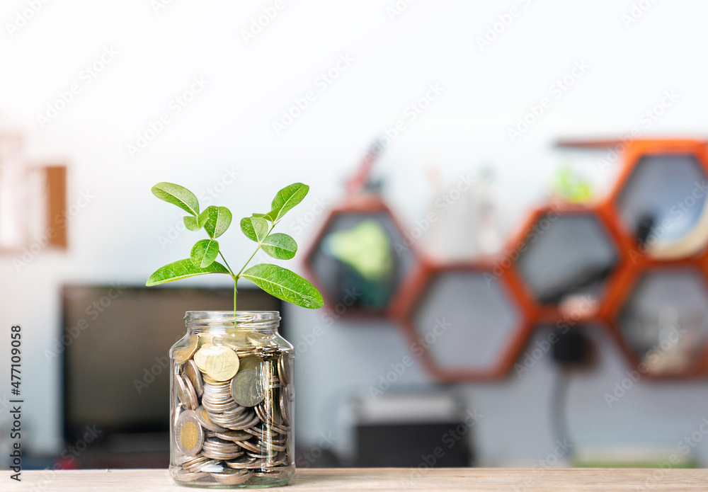 Money growing plant on coin glass bottle in business office.