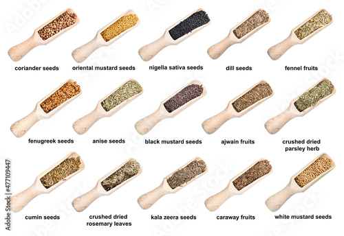 set of wooden scoops with spicy seeds with names photo
