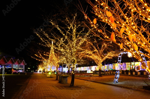 Christmas Light in Takasaki City Gumma, Japan
