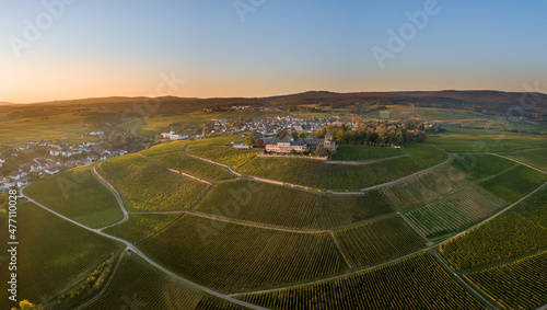 Luftaufnahme mit Drohne im Rheingau bei den Weinbergen von Schloss Johannisberg zwischen Eltville und Rüdesheim am Rhein, Hessen Deutschland