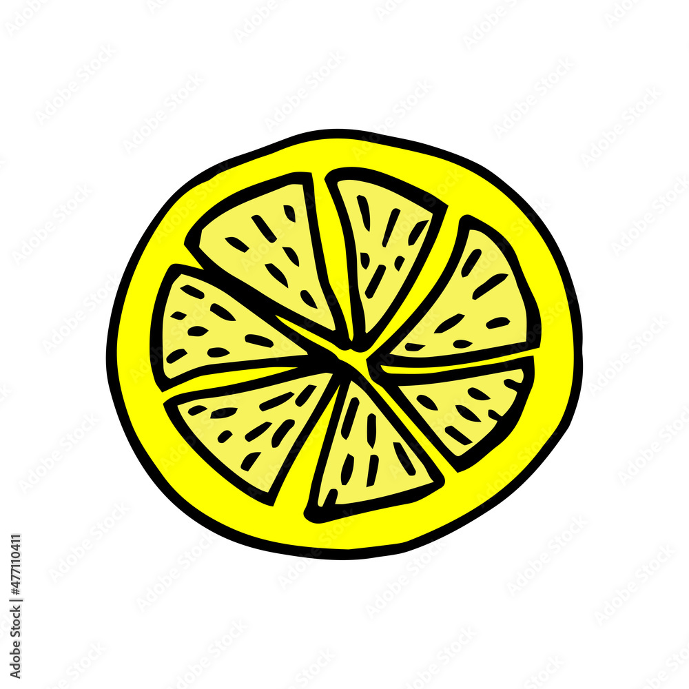 Yellow Lemon black line drawn on a white background. Vector drawing of fruits. Yellow Lemon black line drawn on a white background. Vector drawing of fruits.