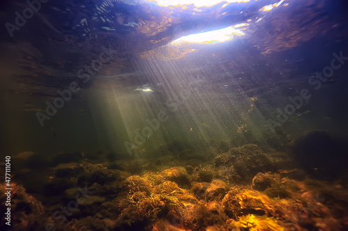 sun rays under water landscape, seascape fresh water river diving Fototapet