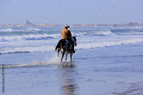 cavalier et son cheval au bord de la mer © helenedevun