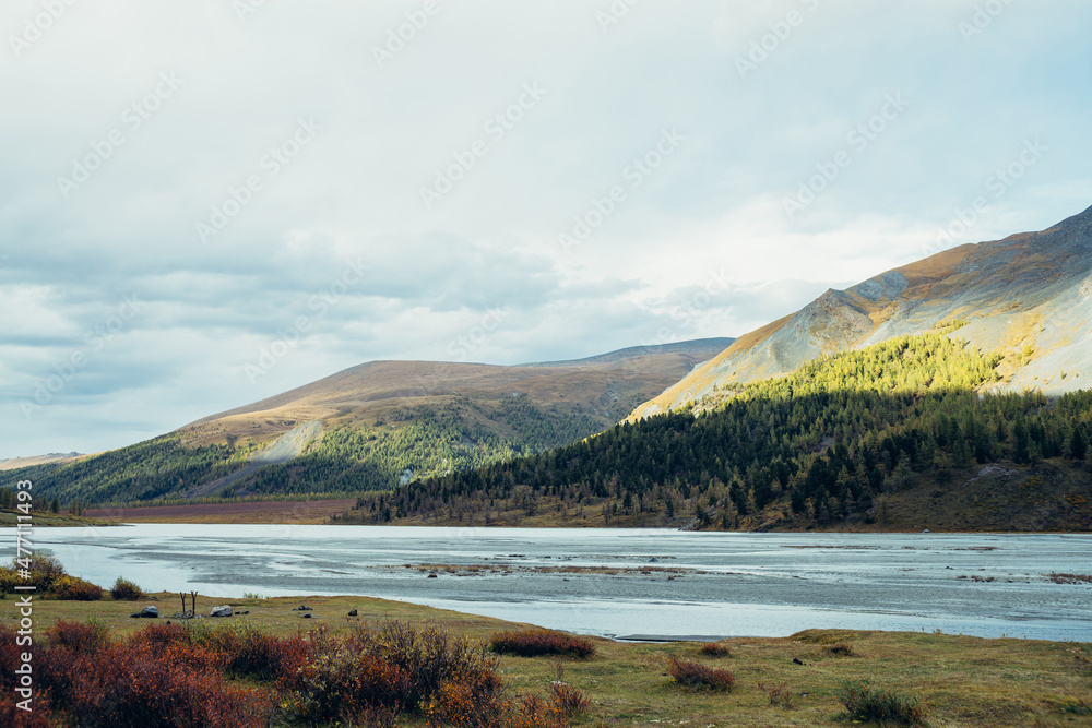 Scenic landscape with water streams in mountain lake and sunlit motley mountains in autumn colors. Beautiful scenery with autumn flora with view to shallow lake and hillside with forest in sunshine.