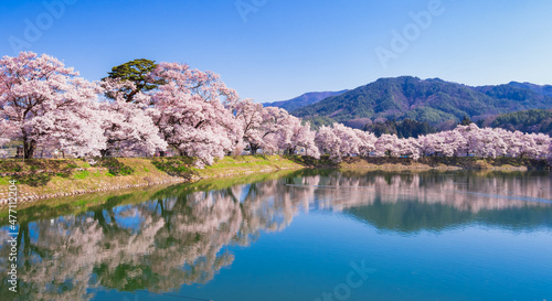 春イメージ 信州の桜風景 ワイド