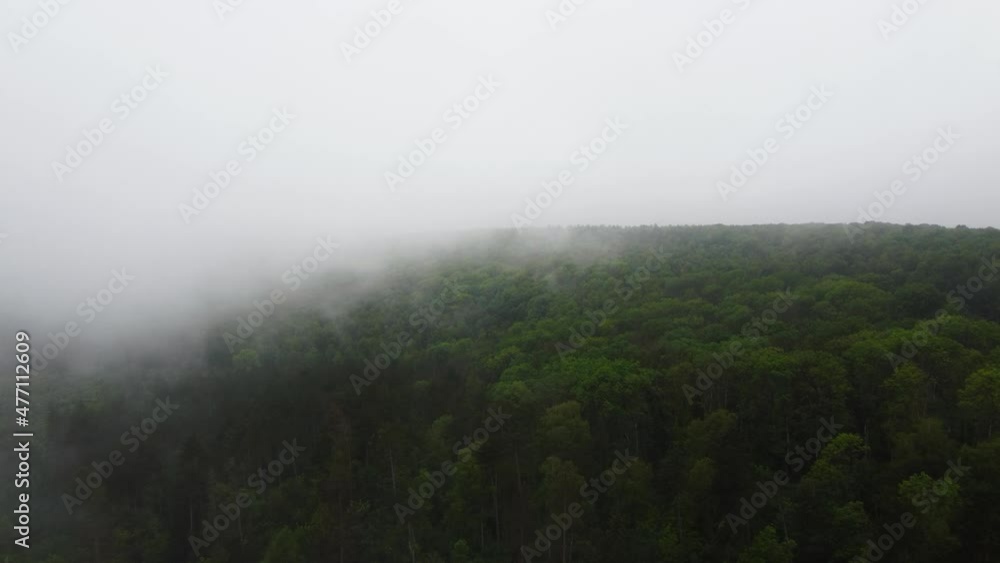 Mystical and foggy drone flight over the forest. Mystical and foggy drone flight over the forest.