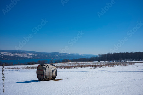 фотографія A snow covered field of grapevines in the Finger Lakes Region of New York State lies dormant during a cold winter's day