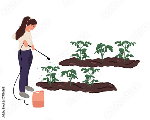 A woman gardener or farmer sprays tomato seedlings with herbicide after planting in the ground. Treatment and protection of seedlings from insects and pests. Flat vector