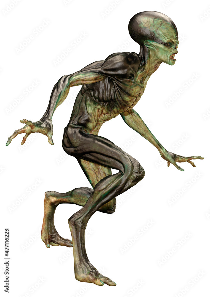 Fototapeta premium 3D Rendering Green Alien on White
