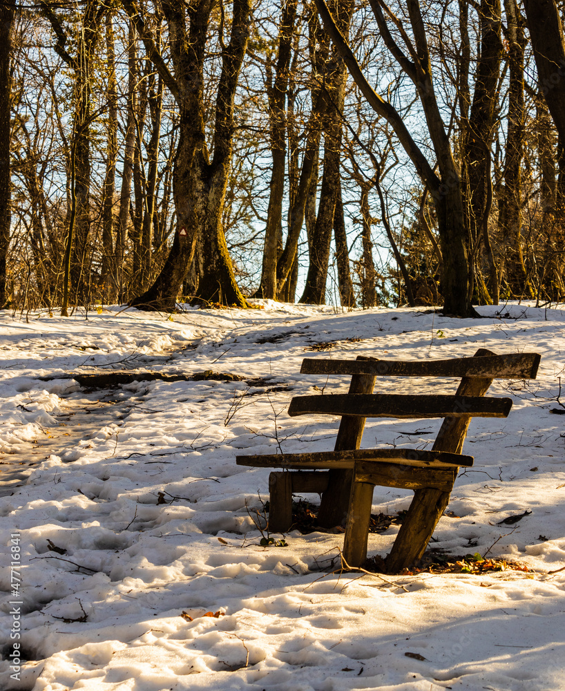 Bench at a resting place near path with ground covered by fresh snow, with the backlight of the sun behind the branches of trees