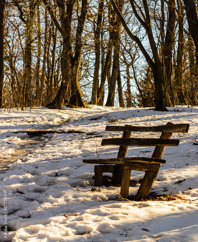 Bench at a resting place near path with ground covered by fresh snow, with the backlight of the sun behind the branches of trees