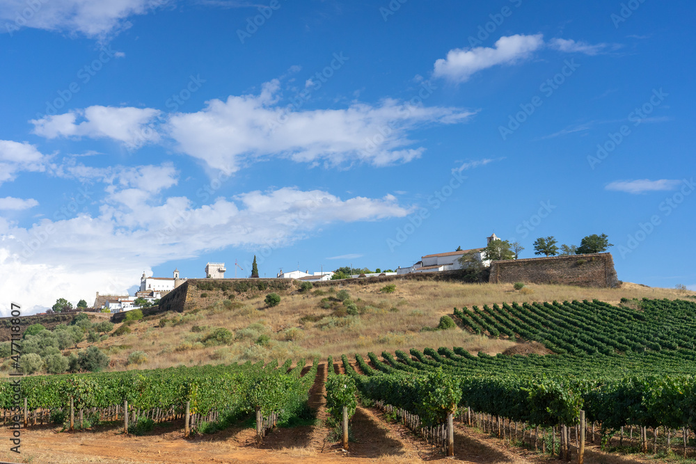 Vineyards and walls of the castle of the Medieval village of Estremoz in Alentejo region in Portugal.