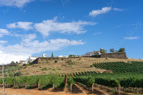 Vineyards and walls of the castle of the Medieval village of Estremoz in Alentejo region in Portugal. photo