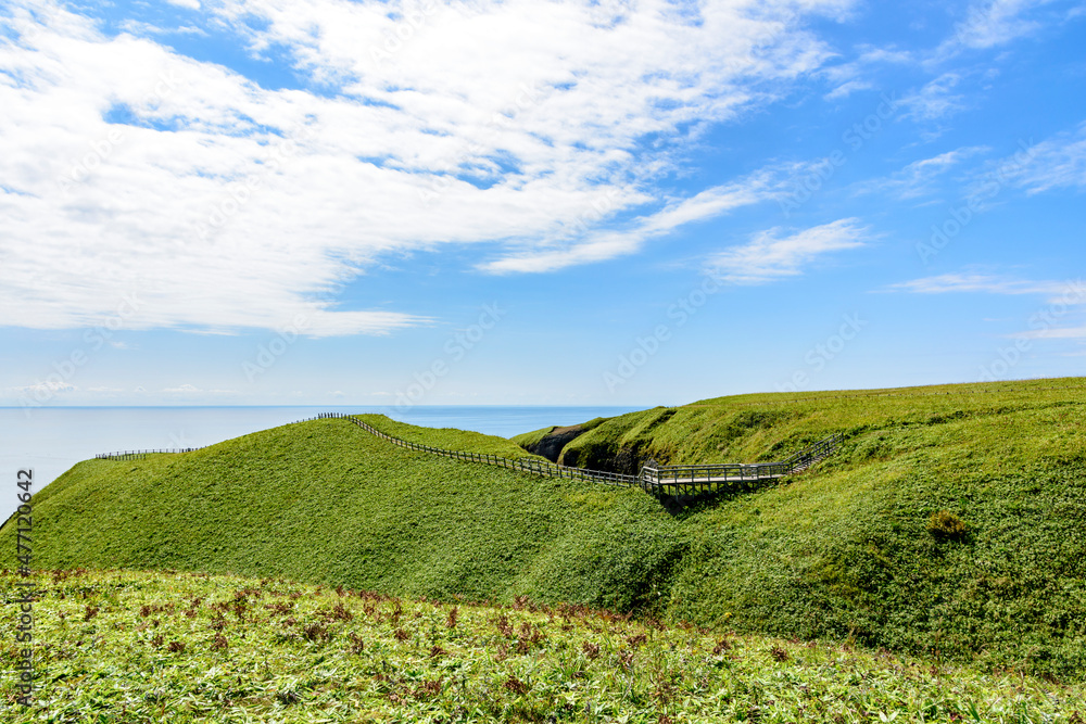 Obraz premium 道東の岬 涙岬 