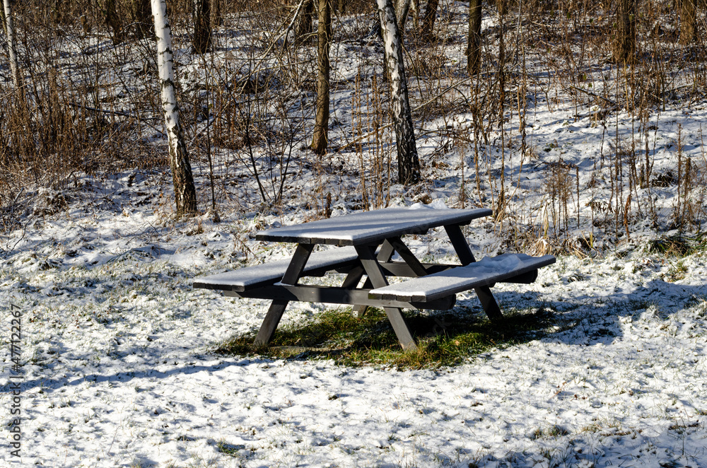picnic bench in the winter park